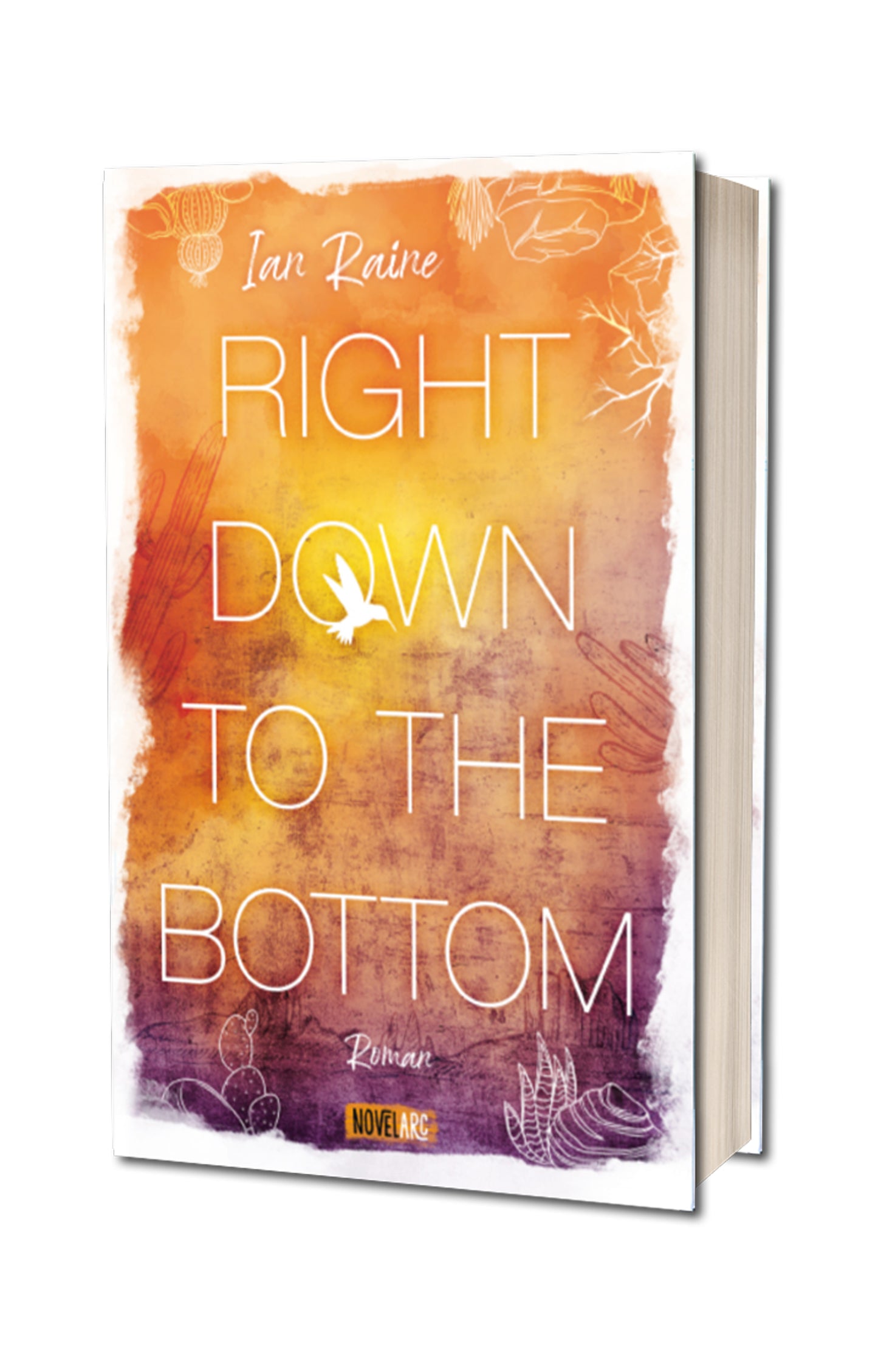 Right Down to the Bottom: Ein einfühlsam erzählter queerer New-Adult-Roman in der Wüste Arizonas.